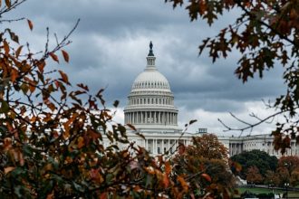 DOJ Drops Appeal, Clearing the Way for ATF to Rewrite “Engaged in the Business” Rule