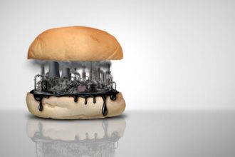 What Have They Done To Our Food?