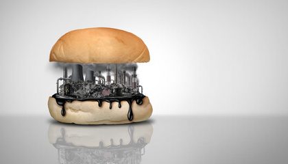 What Have They Done To Our Food?