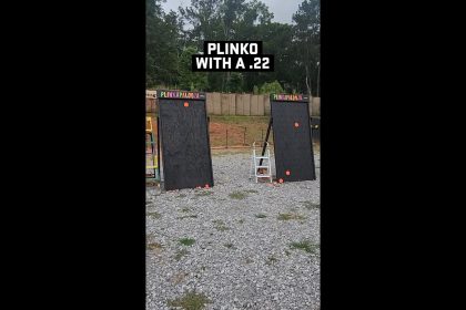 PLINKO with a .22