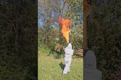 Flamethrower vs. Paper Hornet Nest #fire #fun #shorts