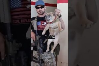 How Navy Seals Clear A Room #specialforces #navyseal #shorts