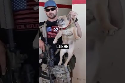 How Navy Seals Clear A Room #specialforces #navyseal #shorts