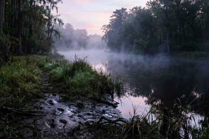 Biloxi Neighbor Shoots Naked Attacker Multiple Times, Gets Disarmed Mid-Fight Before Man Walks Back Into the River
