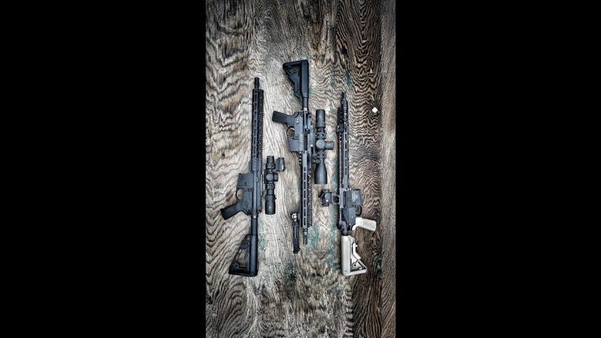 Which Optic Is Best for Your AR-15? (Navy SEAL Review)