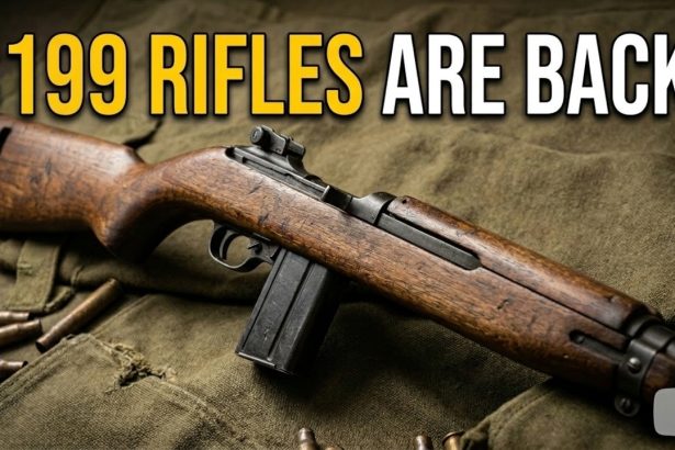 Prices Are Crashing: 10 Surplus Rifles Civilians Can Buy Dirt Cheap in 2026!