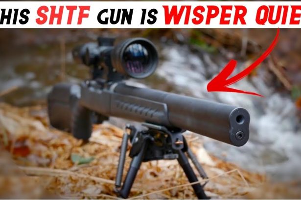 Top 6 Super-Quiet Guns For SHTF Every Prepper Should Own!