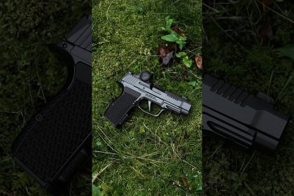 Flattest shooting .380 (SIG P365 LUXE)