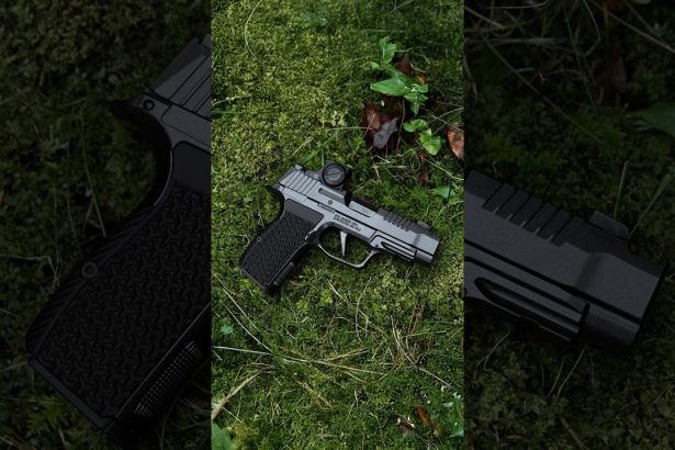 Flattest shooting .380 (SIG P365 LUXE)