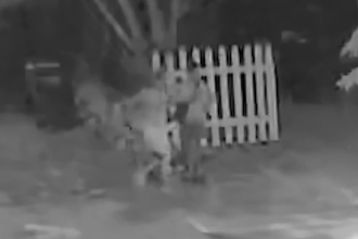 Machete Attack Thwarted: Fort Worth Neighbor Shoots And Kills Man Dragging Screaming Woman