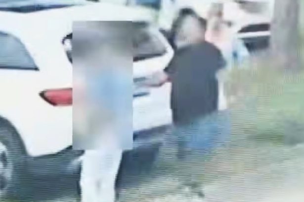 Armed Bystanders Stop Felon From Kidnapping 74-Year-Old Woman Outside Florida Church