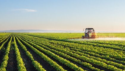 Even The Mainstream Media Is Admitting That The Coming Global Food Crisis Has Now Arrived