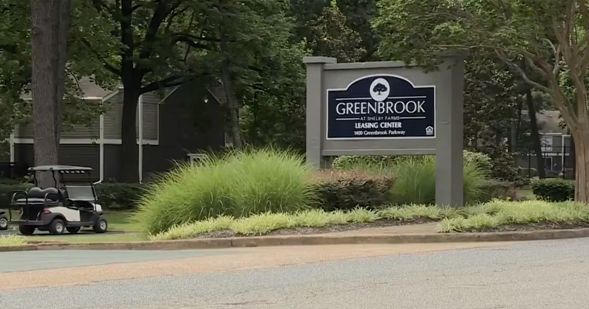 Memphis Tenant Shoots Masked Burglar Caught Hauling His TV Out the Door