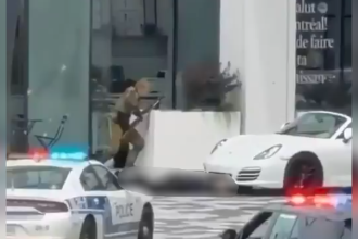 Disturbing Footage: Active Shooter Leaves Police Officer And Civilian Dead In Montreal