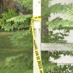 Popeye’s Argument Spills Into Gunfire After Pursuers Chase Man To Grandmother’s House
