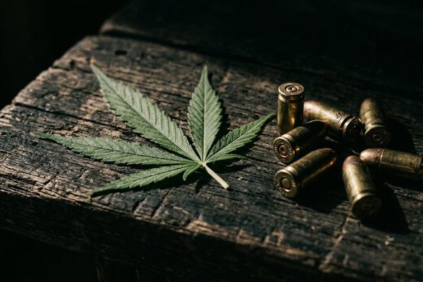 Supreme Court Unanimously Strikes Down Federal Gun Ban on Marijuana Users