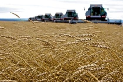Russia Tightens Hold on African Wheat Market as Ukraine Opens Rival Agrohub in Ghana