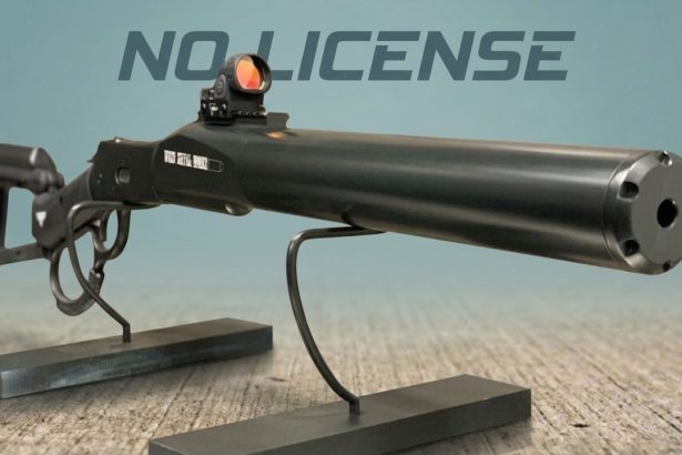 WHY These NEW Lever Rifles BEAT the AR 15!