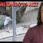 Defender Saves His Child From A Dog Attack | Active Self Protection