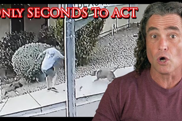 Defender Saves His Child From A Dog Attack | Active Self Protection