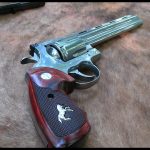 What is the Best BBQ Gun?