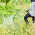 EPA Faces Pressure to Warn Public on Cancer-Linked Pesticides