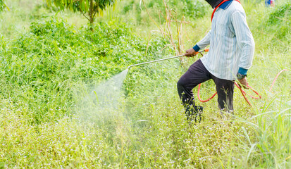 EPA Faces Pressure to Warn Public on Cancer-Linked Pesticides