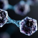 Lab-Made “SpudCell” Brings Us Closer To The Creation Of “Artificial Life”