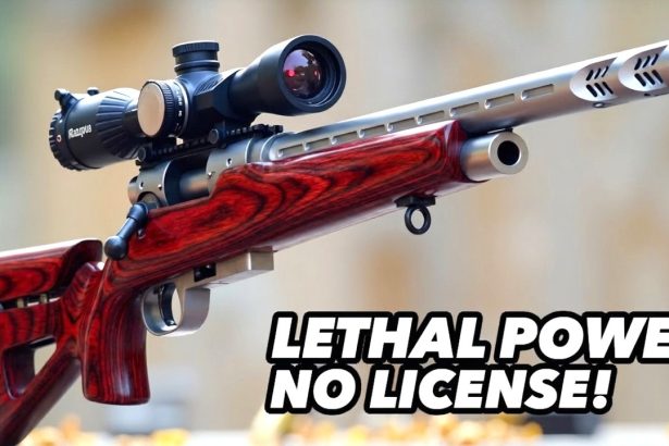 15 Most Lethal FULL-AUTO Air Rifles