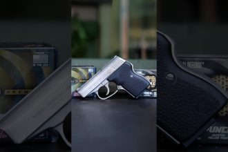 NAA-380 GUARDIAN