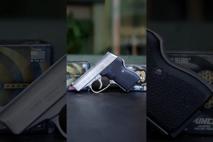 NAA-380 GUARDIAN