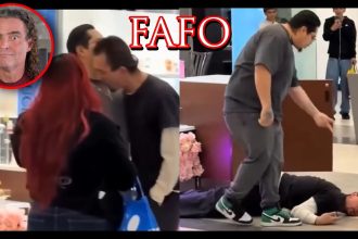 FAFO Compilation | Active Self Protection