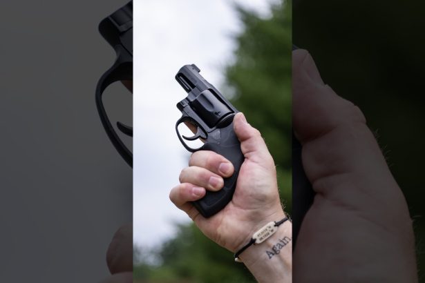 M&P Bodyguard .38 Special Revolver