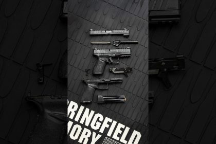 Springfield Armory Echelon Alpha 🔥