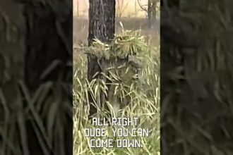 Sniper School Stalk, filmed on VHS in 1994  #sniper #tacticalrifleman #vhs #military
