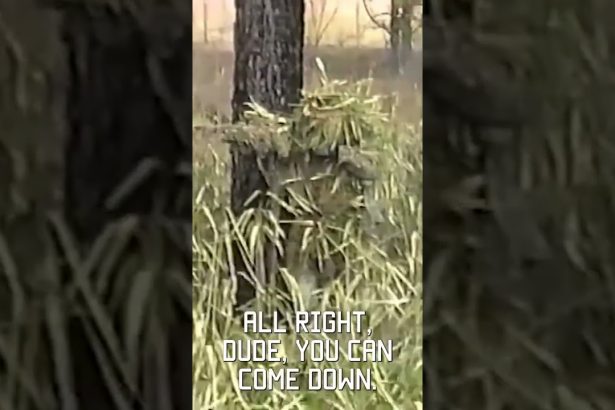 Sniper School Stalk, filmed on VHS in 1994  #sniper #tacticalrifleman #vhs #military