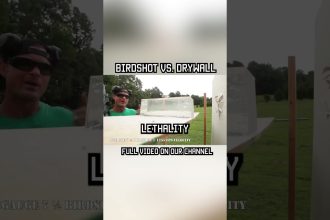 BIRDSHOT vs. DRYWALL #shorts #shotgun #military