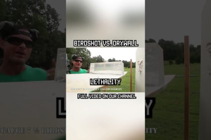 BIRDSHOT vs. DRYWALL #shorts #shotgun #military