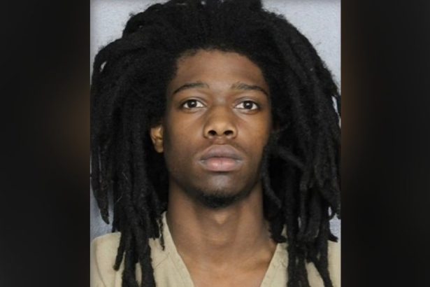 Delivery Driver Shoots and Kills Would-Be Robber Mid-Delivery