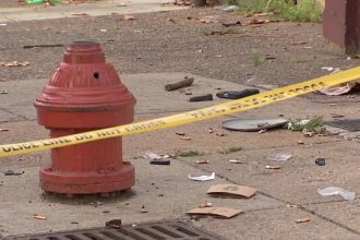 Philadelphia Carjacking Crew Picks a Driver Who Was Armed Too, Police Say