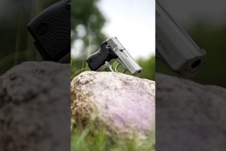 North American Arms Guardian .32