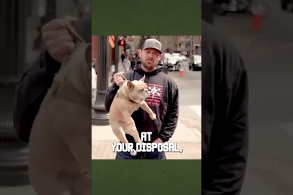 WHY SITUATIONAL AWARENESS IS IMPORTANT PT  1 #tacticalrifleman #shorts #awareness #safety 1