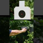 Smith And Wesson Shield X (Concealed Carry Handgun 9MM) | USCCA Gun Range